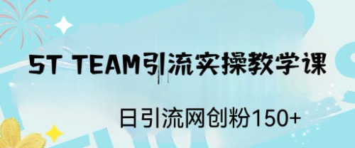 ST TEAM引流实操课，日引流网创粉100+-网创-网赚-项目-兼职青絲网创