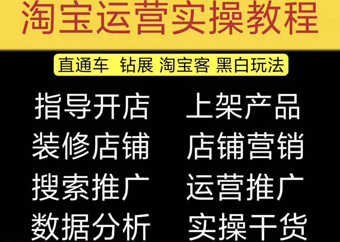 2023淘宝开店教程0基础到高级全套视频网店电商运营培训教学课程（2月更新）-网创-网赚-项目-兼职青絲网创