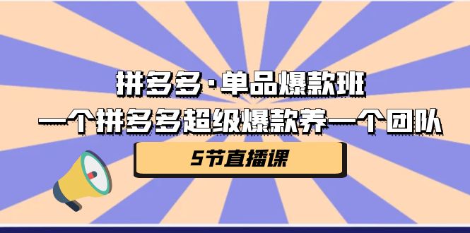 拼多多·单品爆款班，一个拼多多超级爆款养一个团队（5节直播课）-网创-网赚-项目-兼职青絲网创