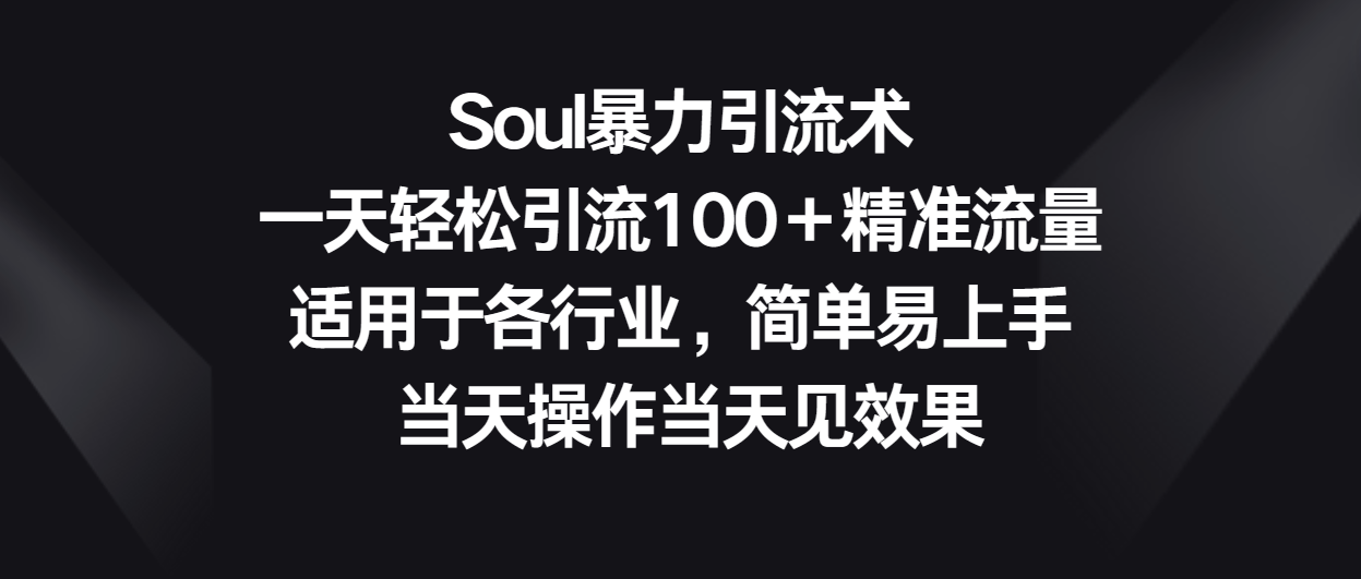 Soul暴力引流术，一天轻松引流100＋精准流量，适用于各行业，简单易上手！-网创-网赚-项目-兼职青絲网创