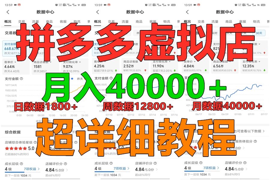 拼多多虚拟电商训练营月入40000+，全网最详细，你做你也行，暴利稳定长久-网创-网赚-项目-兼职青絲网创