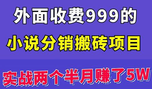 外面收费999的小说分销搬砖项目：实战两个半月赚了5W块，操作简单！￼-网创-网赚-项目-兼职青絲网创