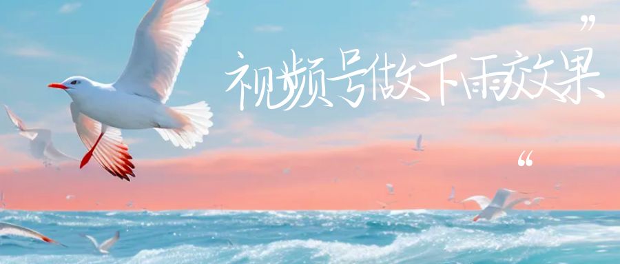 视频号做下雨视频一个账号一周涨粉10W+年入100w-网创-网赚-项目-兼职青絲网创