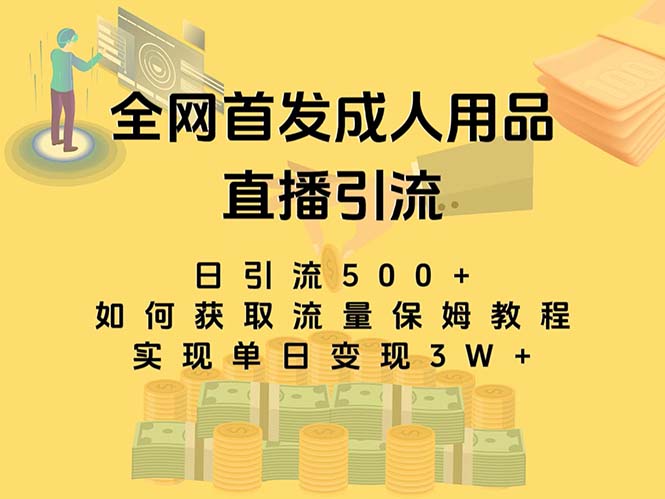 最新全网独创首发，成人用品直播引流获客暴力玩法，单日变现3w保姆级教程-网创-网赚-项目-兼职青絲网创