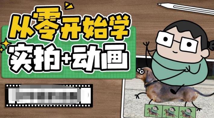 从零开始学实拍加动画，实拍加动画创意教程（49节视频课）-网创-网赚-项目-兼职青絲网创