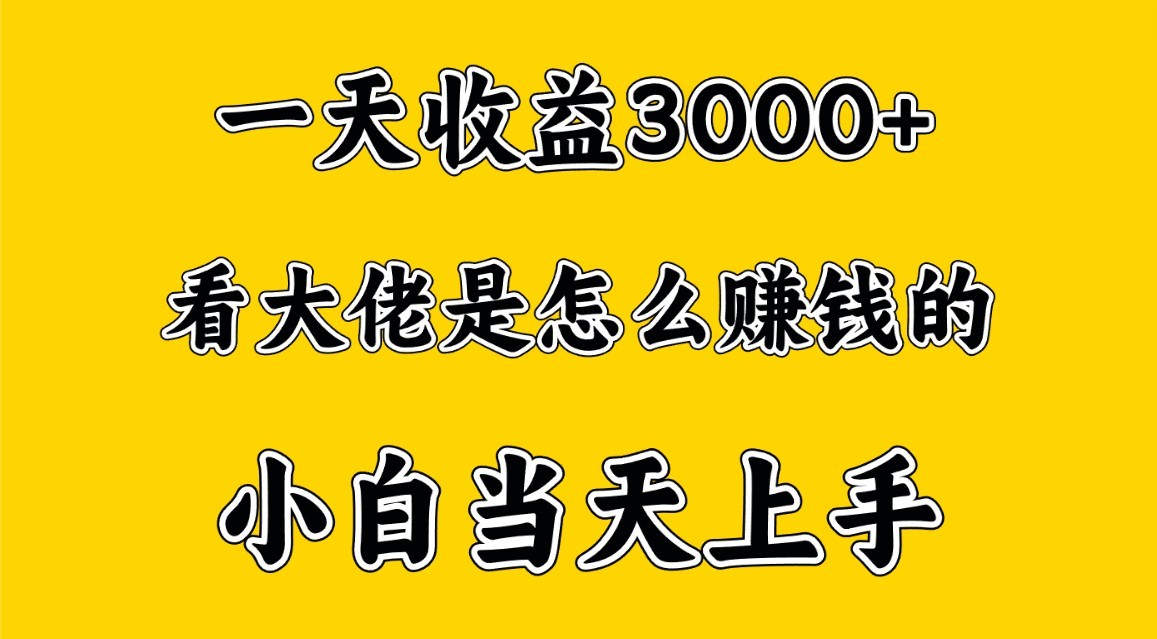 一天赚3000多，大佬是这样赚到钱的，小白当天上手，穷人翻身项目-网创-网赚-项目-兼职青絲网创
