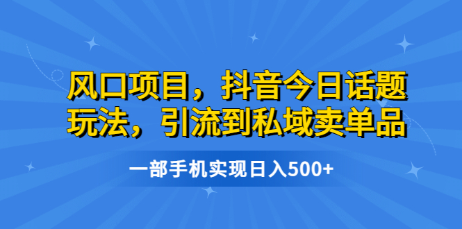 风口项目，抖音今日话题玩法，引流到私域卖单品，一部手机实现日入500+-网创-网赚-项目-兼职青絲网创