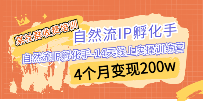 某社群收费培训：自然流IP 孵化手-14天线上实操训练营 4个月变现200w-网创-网赚-项目-兼职青絲网创