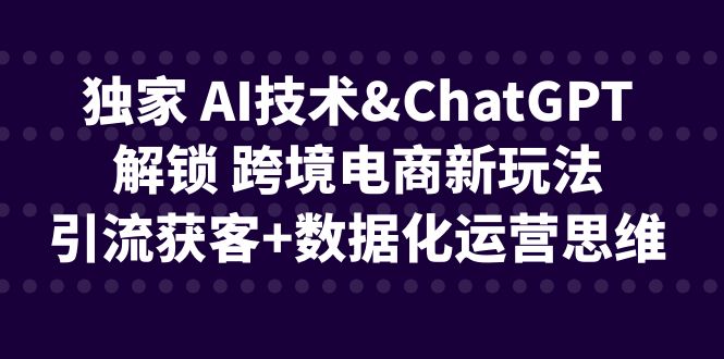 独家 AI技术&ChatGPT解锁 跨境电商新玩法，引流获客+数据化运营思维-网创-网赚-项目-兼职青絲网创