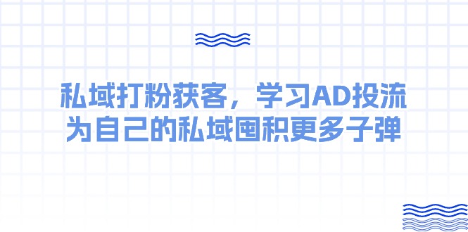 （10728期）某收费课：私域打粉获客，学习AD投流，为自己的私域囤积更多子弹-网创-网赚-项目-兼职青絲网创