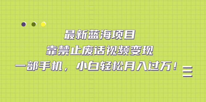 最新蓝海项目，靠禁止废话视频变现，一部手机，小白轻松月入过万！-网创-网赚-项目-兼职青絲网创