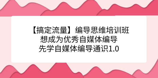 【搞定流量】编导思维培训班，想成为优秀自媒体编导先学自媒体编导通识1.0-网创-网赚-项目-兼职青絲网创