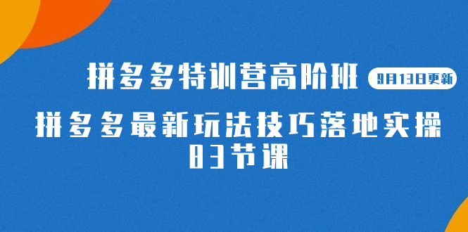 2023拼多多·特训营高阶班【9月19日更新】拼多多最新玩法技巧落地实操-83节-网创-网赚-项目-兼职青絲网创