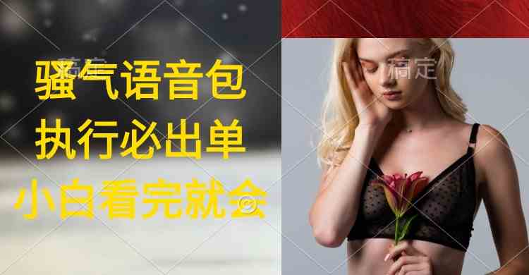 （9589期）执行就出单，日入2000+，超火骚气语音包，小白看完课程就能马上实操-网创-网赚-项目-兼职青絲网创