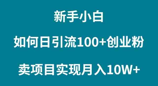（9556期）新手小白如何通过卖项目实现月入10W+-网创-网赚-项目-兼职青絲网创