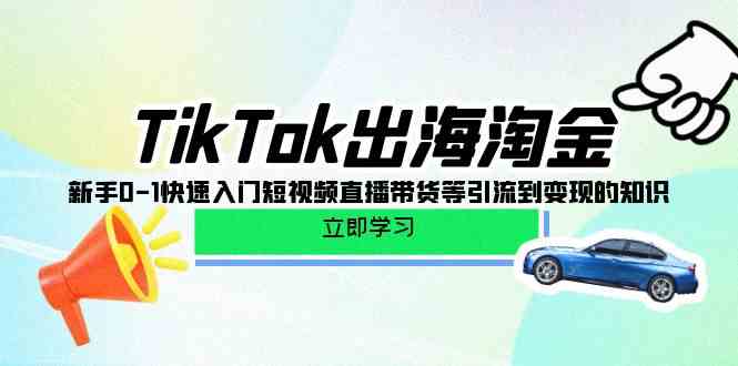 （10035期）TikTok-出海淘金，新手0-1快速入门短视频直播带货等引流到变现的知识-网创-网赚-项目-兼职青絲网创