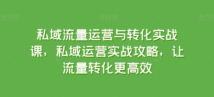 私域流量运营与转化实战课，私域运营实战攻略，让流量转化更高效-网创-网赚-项目-兼职青絲网创