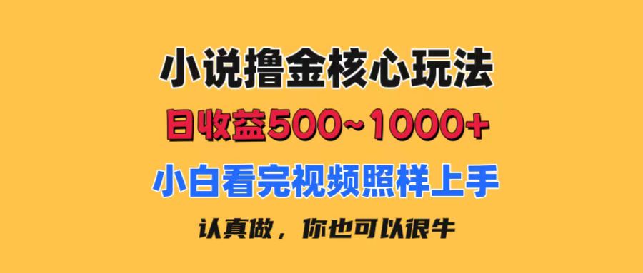 小说撸金核心玩法，日收益500-1000+，小白看完照样上手，0成本有手就行-网创-网赚-项目-兼职青絲网创