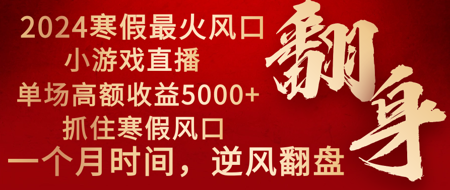 2024年最火寒假风口项目 小游戏直播 单场收益5000+抓住风口 一个月直接提车-网创-网赚-项目-兼职青絲网创
