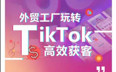 外贸工厂玩转TikTok高效获客，多种引流方式与账号定位技巧，拆解爆款短视频打造成功案例-网创-网赚-项目-兼职青絲网创