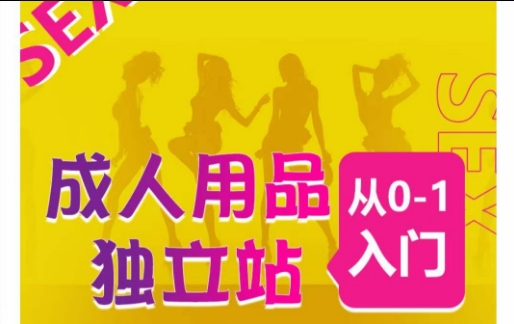 成人用品独立站从0-1入门，成品独立站运营全流程教学，七大好卖成品独立站推荐-网创-网赚-项目-兼职青絲网创