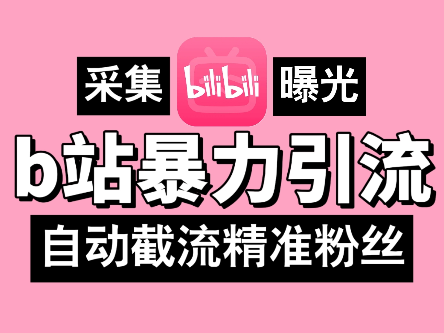 B站暴力引流机，日引300+精准粉，全行业通用！-网创-网赚-项目-兼职青絲网创