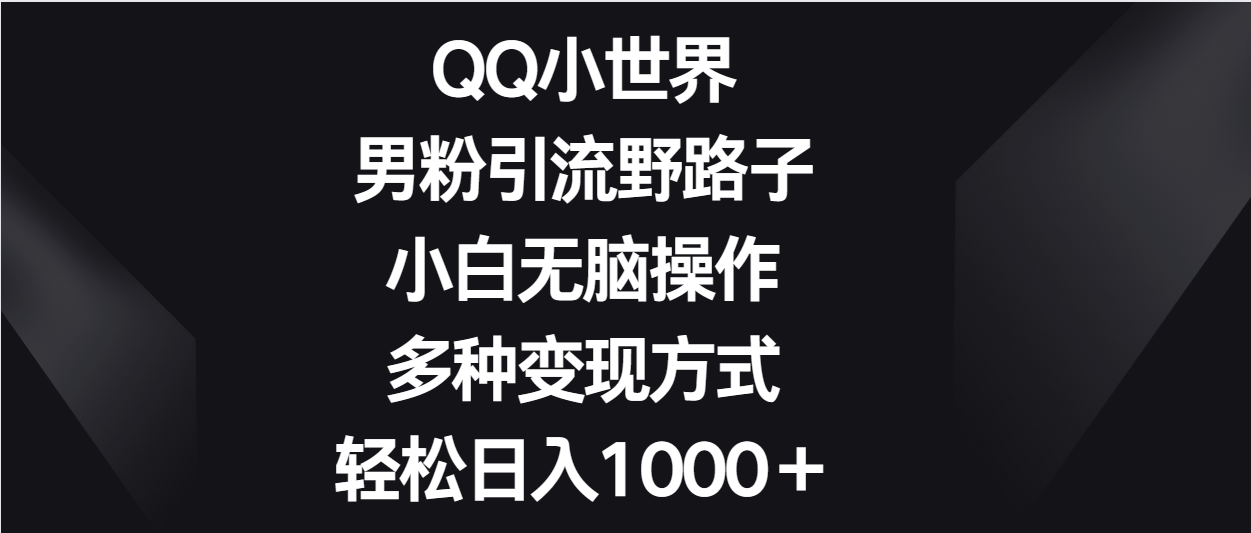 QQ小世界男粉引流野路子，小白无脑操作，多种变现方式轻松日入1000＋-网创-网赚-项目-兼职青絲网创