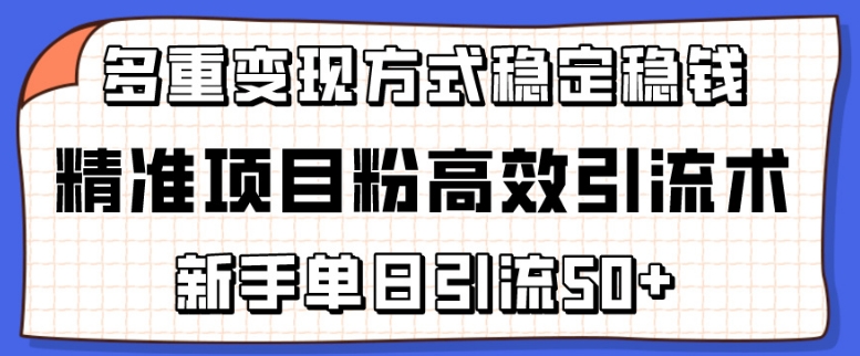 精准项目粉高效引流术，新手单日引流50+，多重变现方式稳定赚钱-网创-网赚-项目-兼职青絲网创
