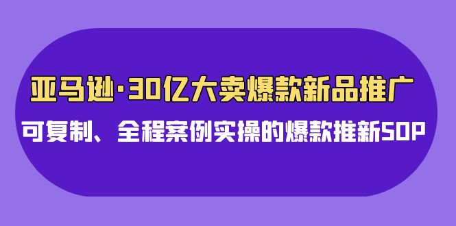 亚马逊30亿大卖爆款新品推广，可复制、全程案例实操的爆款推新SOP-网创-网赚-项目-兼职青絲网创