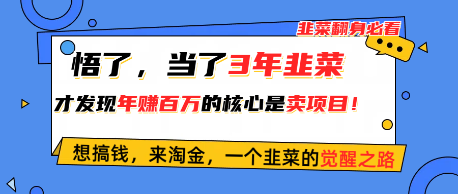 （10759期）悟了，当了3年韭菜，才发现网赚圈年赚100万的核心是卖项目，含泪分享！-网创-网赚-项目-兼职青絲网创