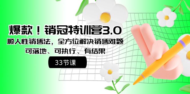 爆款！销冠特训营3.0之顺人性销售法，全方位解决销售难题、可落地-网创-网赚-项目-兼职青絲网创