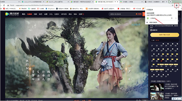 大侠助手浏览器插件(vip影视免费观看插件)适用于各个视频平台上免VIP看大片的插件-网创-网赚-项目-兼职青絲网创