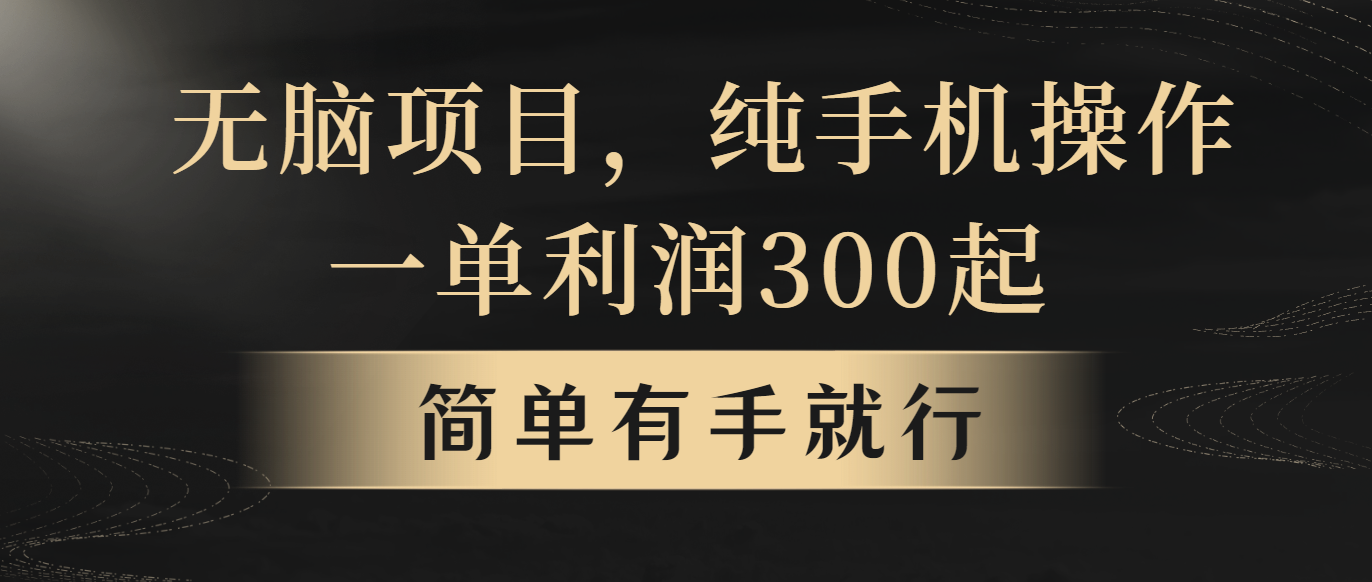 （10699期）无脑项目，一单几百块，轻松月入5w+，看完就能直接操作-网创-网赚-项目-兼职青絲网创