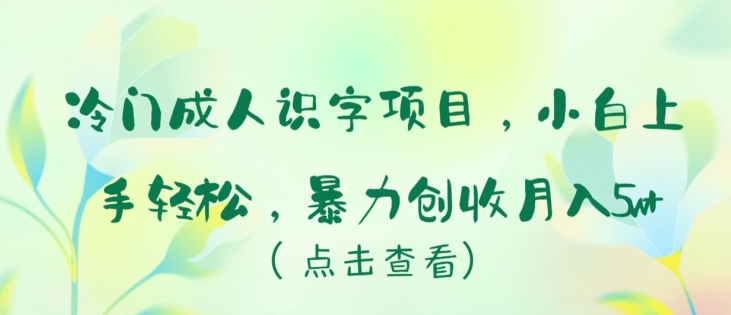 冷门成人识字项目，小白上手轻松，暴力创收月入5w+-网创-网赚-项目-兼职青絲网创