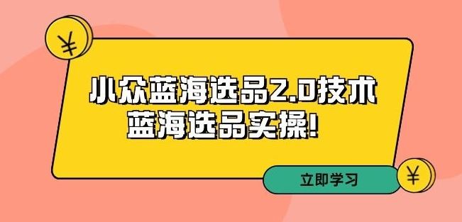 拼多多培训第33期：小众蓝海选品2.0技术-蓝海选品实操！-网创-网赚-项目-兼职青絲网创