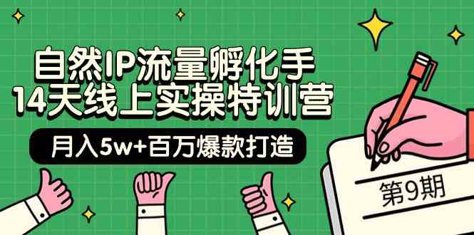 自然IP流量孵化手14天线上实操特训营【第9期】月入5w+百万爆款打造 (74节)-网创-网赚-项目-兼职青絲网创