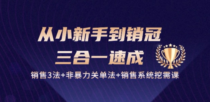 从小新手到销冠 三合一速成：销售3法+非暴力关单法+销售系统挖需课 (27节)-网创-网赚-项目-兼职青絲网创