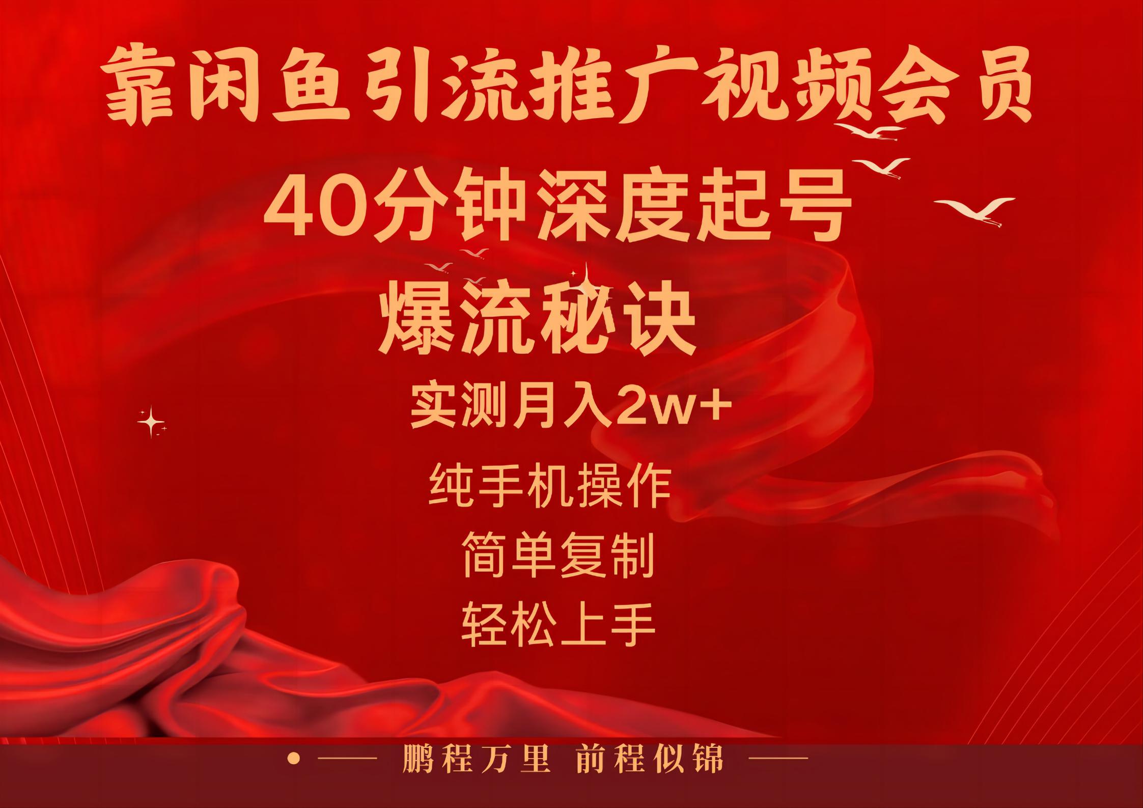闲鱼暴力引流推广视频会员，能做到日入2W+，操作简单-网创-网赚-项目-兼职青絲网创