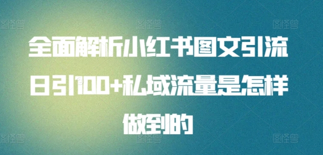 全面解析小红书图文引流日引100+私域流量是怎样做到的-网创-网赚-项目-兼职青絲网创