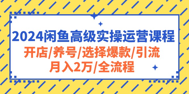 （10711期）2024闲鱼高级实操运营课程：开店/养号/选择爆款/引流/月入2万/全流程-网创-网赚-项目-兼职青絲网创