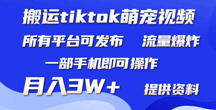 （9618期）搬运Tiktok萌宠类视频，一部手机即可。所有短视频平台均可操作，月入3W+-网创-网赚-项目-兼职青絲网创