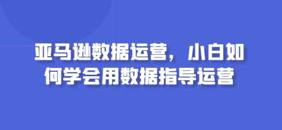 亚马逊数据运营，小白如何学会用数据指导运营-网创-网赚-项目-兼职青絲网创