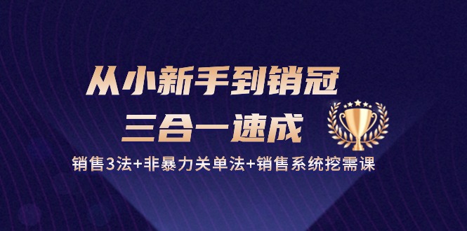 （10799期）从小新手到销冠 三合一速成：销售3法+非暴力关单法+销售系统挖需课 (27节)-网创-网赚-项目-兼职青絲网创