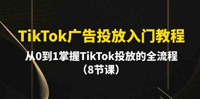 TikTok广告投放入门教程，从0到1掌握TikTok投放的全流程（8节课）-网创-网赚-项目-兼职青絲网创