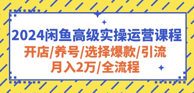 2024闲鱼高级实操运营课程：开店/养号/选择爆款/引流/月入2万/全流程-网创-网赚-项目-兼职青絲网创