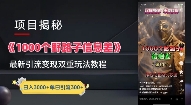 一千个野路子信息差最新玩法教程-变现+引流的玩法具体拆解-网创-网赚-项目-兼职青絲网创