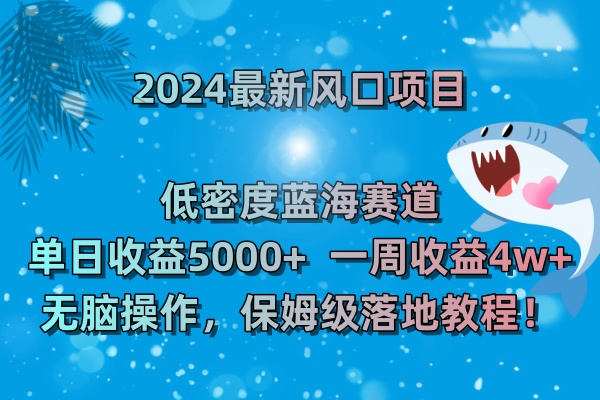 2024最新风口项目 低密度蓝海赛道，日收益5000+周收益4w+ 无脑操作-网创-网赚-项目-兼职青絲网创