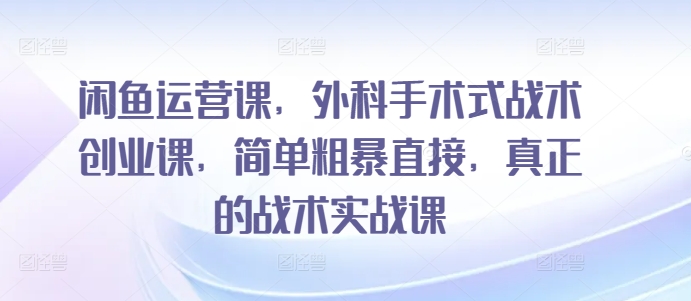 闲鱼运营课，外科手术式战术创业课，简单粗暴直接，真正的战术实战课-网创-网赚-项目-兼职青絲网创