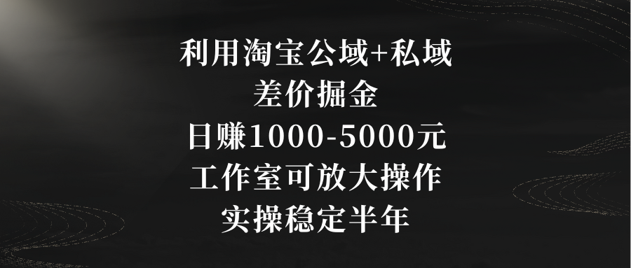 利用淘宝公域+私域差价掘金，日赚1000-5000元，工作室可放大操作，实操…-网创-网赚-项目-兼职青絲网创