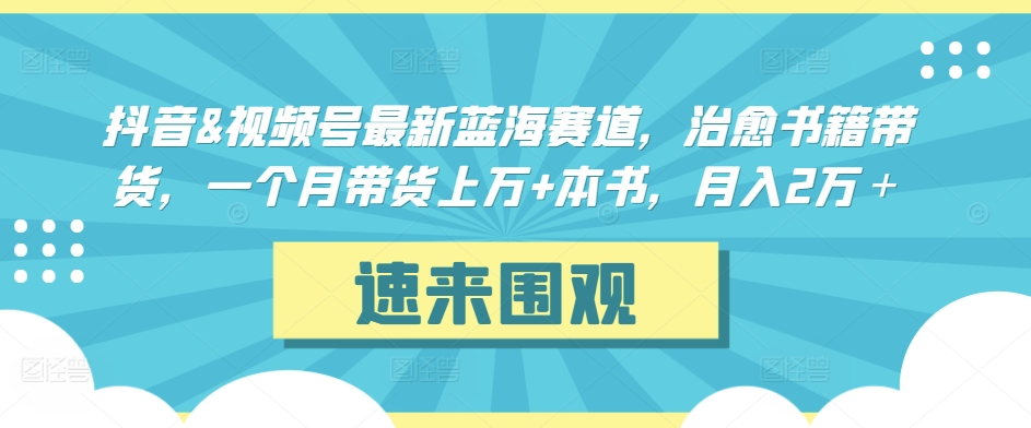 抖音&视频号最新蓝海赛道，治愈书籍带货，一个月带货上万+本书，月入2万＋-网创-网赚-项目-兼职青絲网创